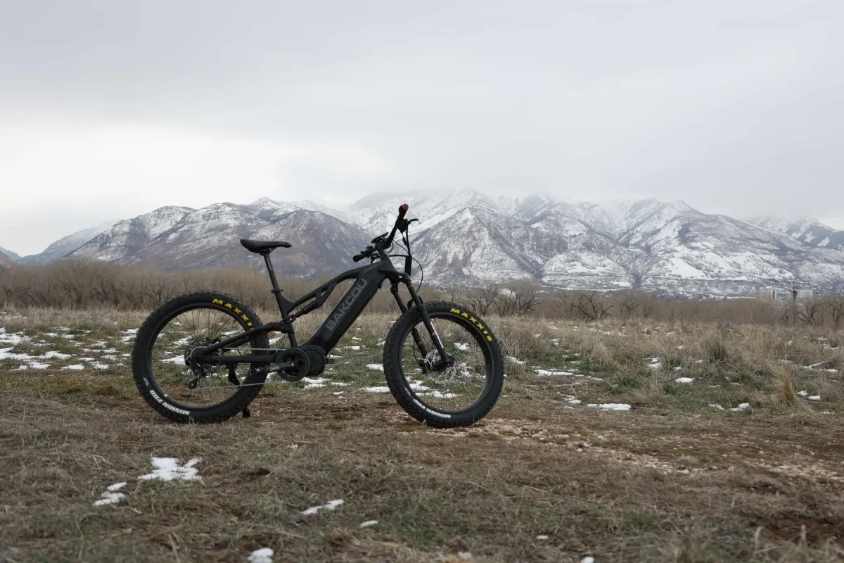 Huge Sale On Bakcou E-Bikes