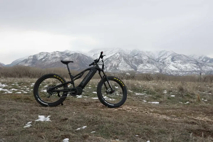 bakcou e-bike sale